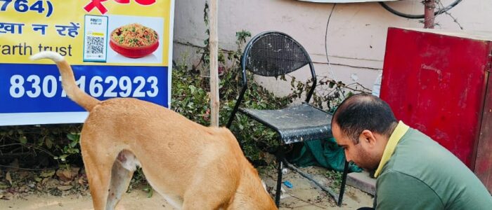 WhatsApp Image 2024-10-29 at 1.31.06 PM